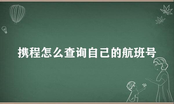 携程怎么查询自己的航班号