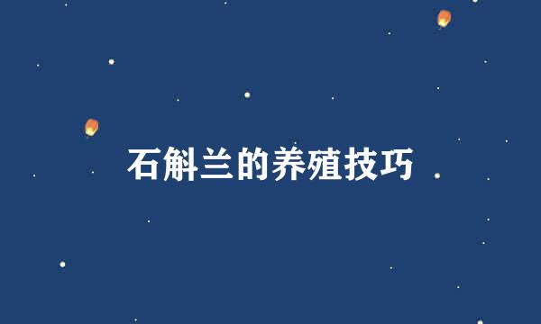 石斛兰的养殖技巧