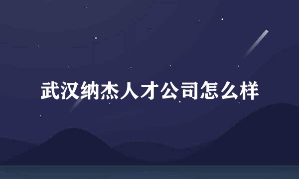 武汉纳杰人才公司怎么样