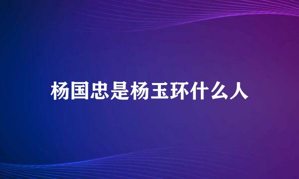 杨国忠是杨玉环什么人