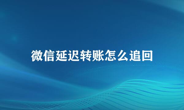 微信延迟转账怎么追回