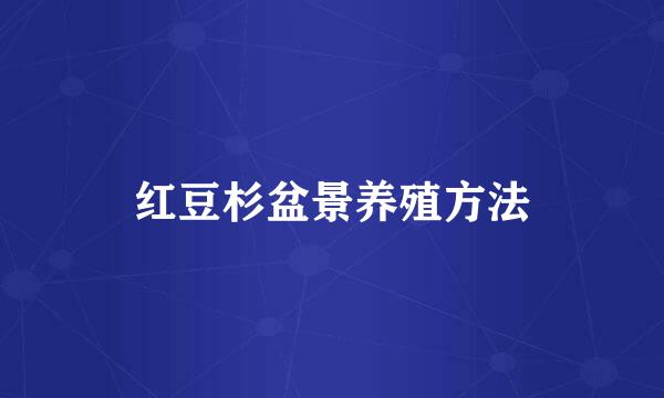 红豆杉盆景养殖方法