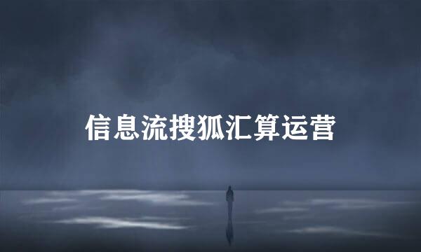 信息流搜狐汇算运营