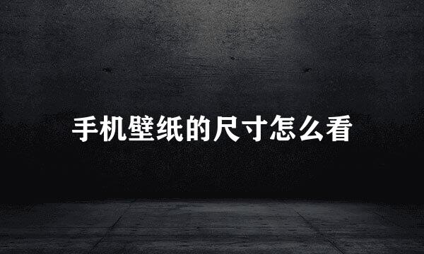 手机壁纸的尺寸怎么看
