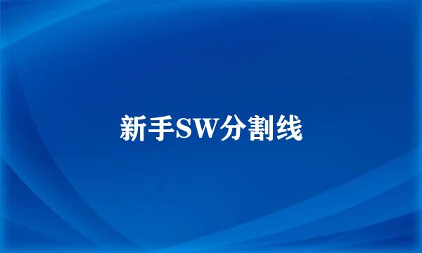 新手SW分割线