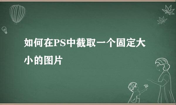 如何在PS中截取一个固定大小的图片