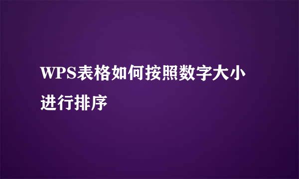WPS表格如何按照数字大小进行排序