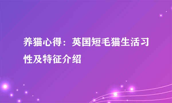 养猫心得：英国短毛猫生活习性及特征介绍