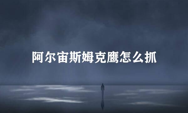 阿尔宙斯姆克鹰怎么抓
