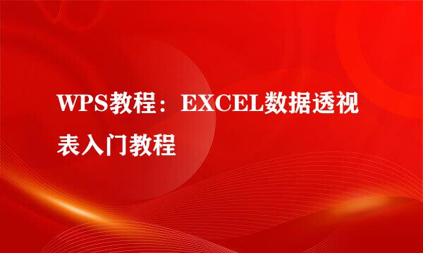 WPS教程：EXCEL数据透视表入门教程