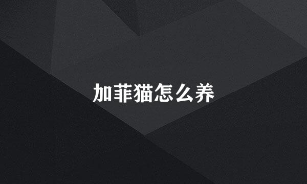 加菲猫怎么养