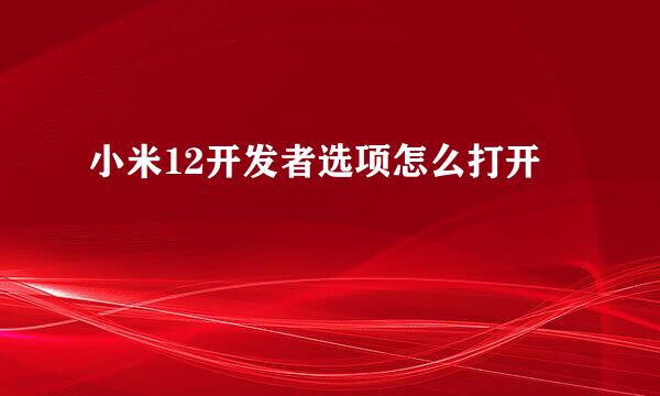 小米12开发者选项怎么打开
