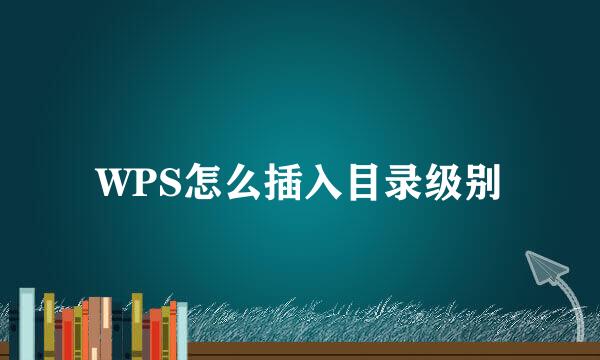 WPS怎么插入目录级别