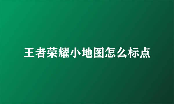 王者荣耀小地图怎么标点