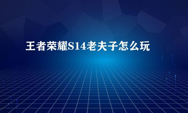 王者荣耀S14老夫子怎么玩