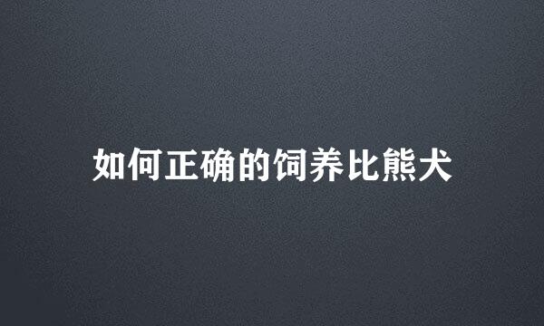 如何正确的饲养比熊犬