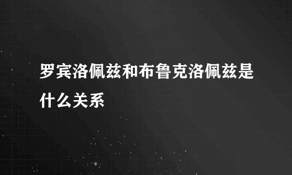 罗宾洛佩兹和布鲁克洛佩兹是什么关系