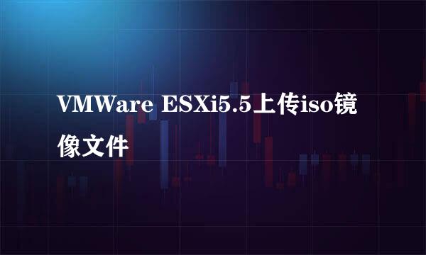 VMWare ESXi5.5上传iso镜像文件