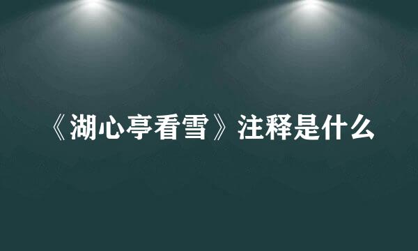 《湖心亭看雪》注释是什么
