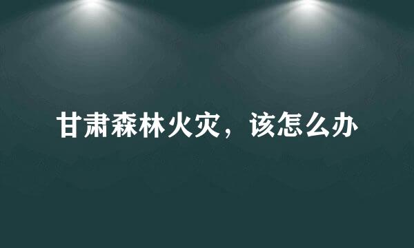 甘肃森林火灾，该怎么办
