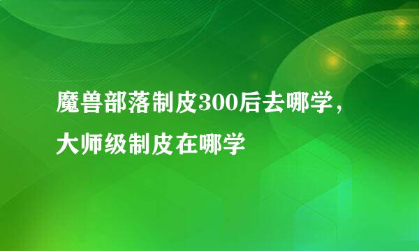 魔兽部落制皮300后去哪学，大师级制皮在哪学