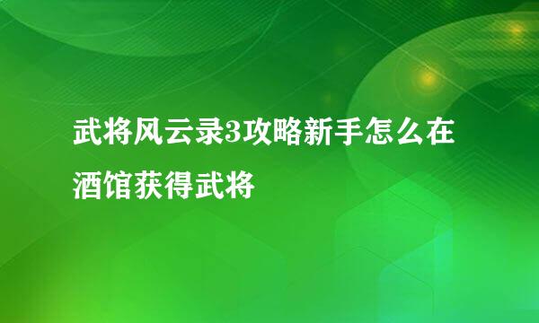 武将风云录3攻略新手怎么在酒馆获得武将