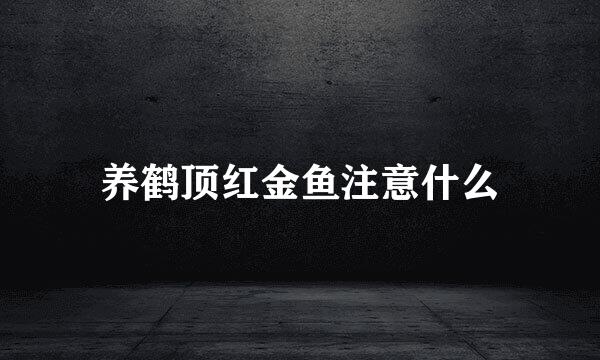 养鹤顶红金鱼注意什么