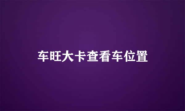 车旺大卡查看车位置