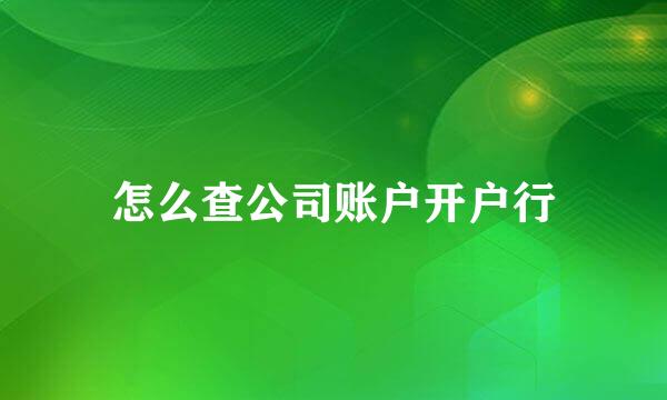 怎么查公司账户开户行