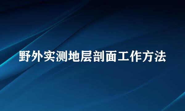 野外实测地层剖面工作方法