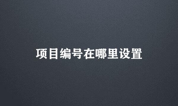 项目编号在哪里设置