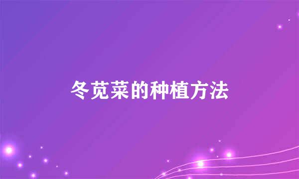 冬苋菜的种植方法