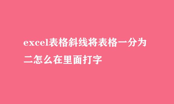 excel表格斜线将表格一分为二怎么在里面打字