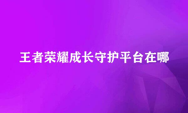 王者荣耀成长守护平台在哪
