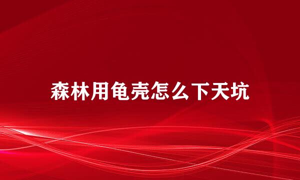森林用龟壳怎么下天坑