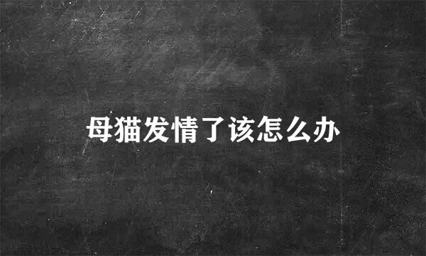 母猫发情了该怎么办