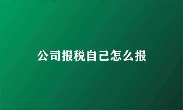 公司报税自己怎么报