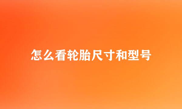 怎么看轮胎尺寸和型号
