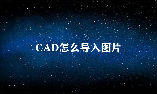 CAD怎么导入图片