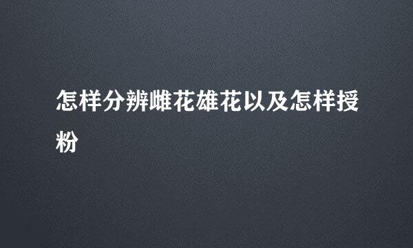 怎样分辨雌花雄花以及怎样授粉