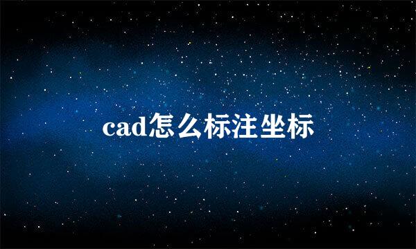 cad怎么标注坐标