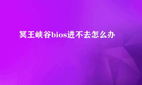 冥王峡谷bios进不去怎么办