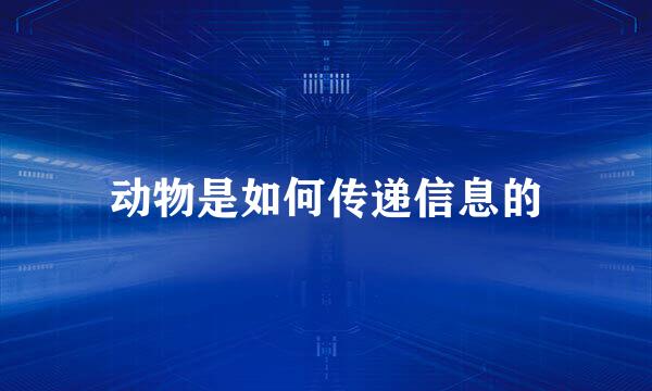 动物是如何传递信息的