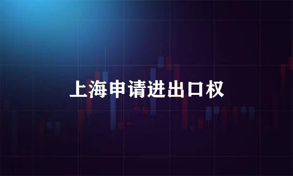 上海申请进出口权