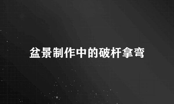 盆景制作中的破杆拿弯