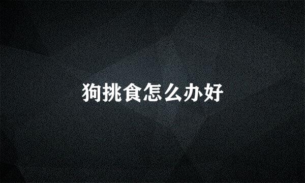 狗挑食怎么办好