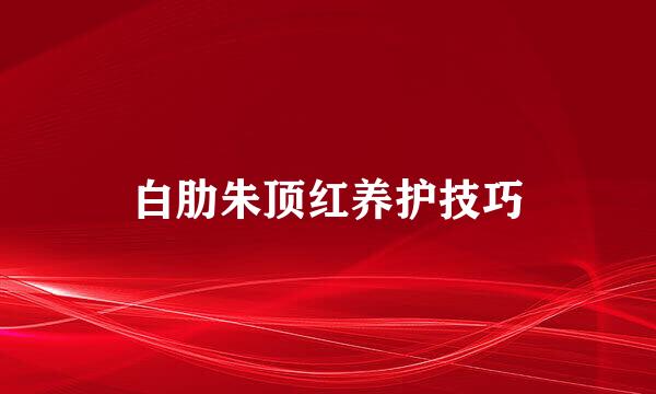 白肋朱顶红养护技巧