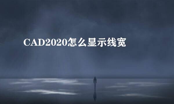 CAD2020怎么显示线宽