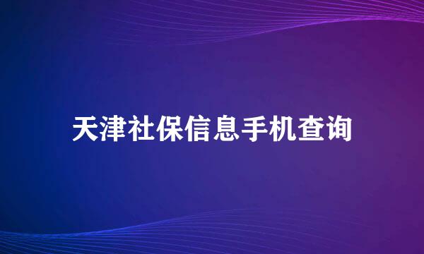 天津社保信息手机查询