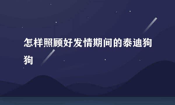 怎样照顾好发情期间的泰迪狗狗